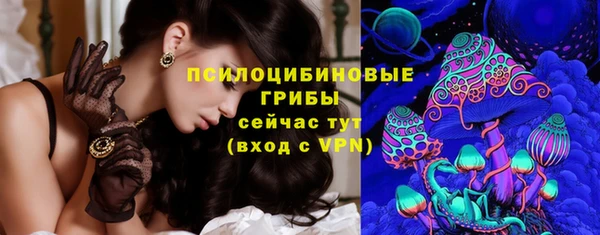 бошки Инсар