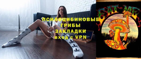 бошки Инсар