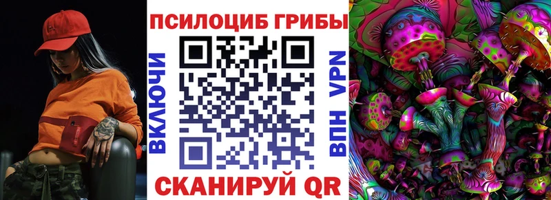 Купить где  Богородицк  Псилоцибиновые грибы Cubensis 